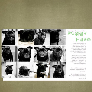 Puggy Face