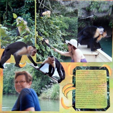 Panama. Canal Safari. Trip to Monkey Island.