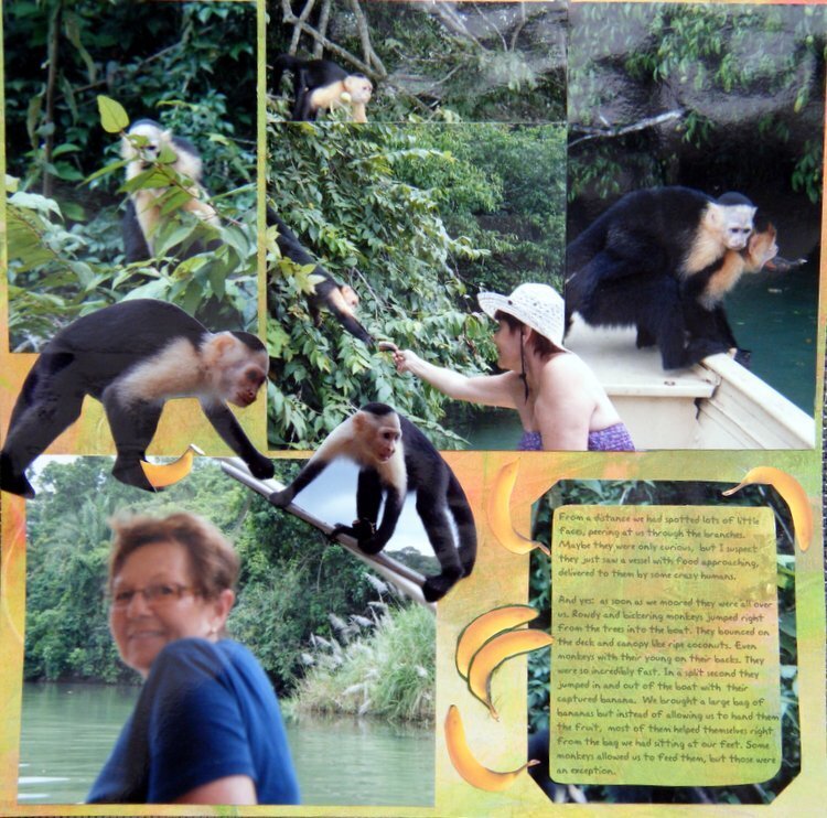 Panama. Canal Safari. Trip to Monkey Island.