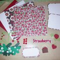 Strawberry Kit