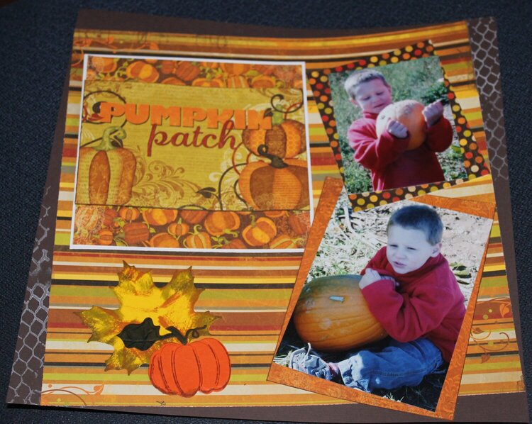 pumpkin patch