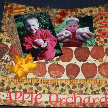 Apple orchard 2012