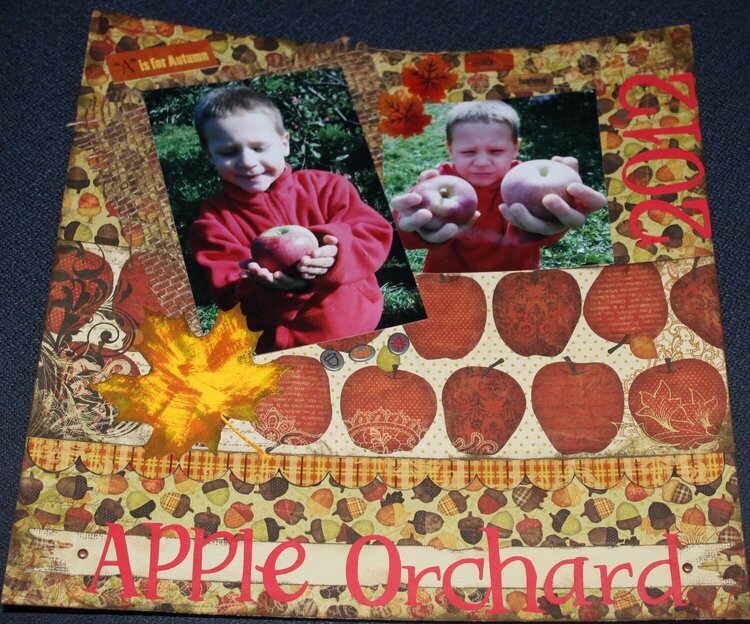Apple orchard 2012