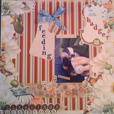 Feeding the little badger...