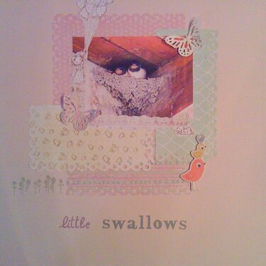 little swallows...