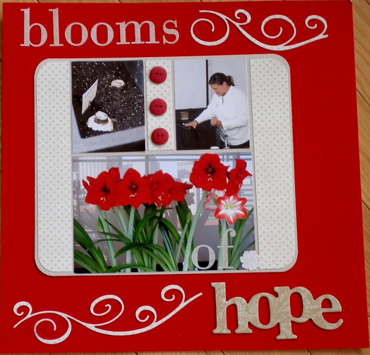 Blooms of Hope