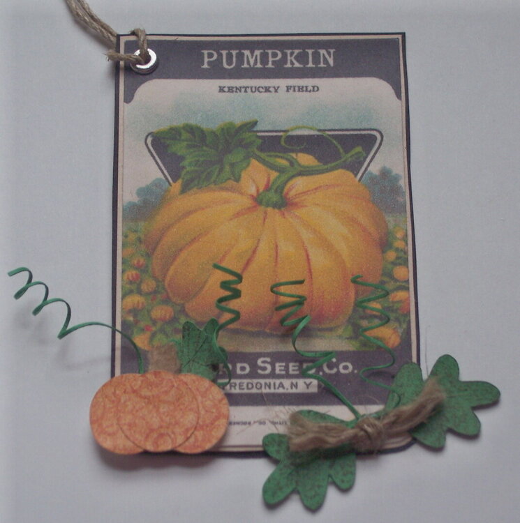 Pumpkin Seed Packet for August fall Mini swap