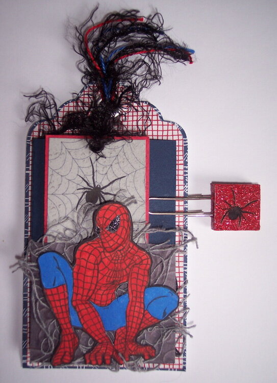 Spiderman tag