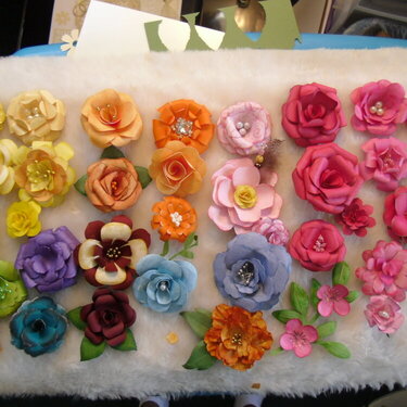 My Flowers