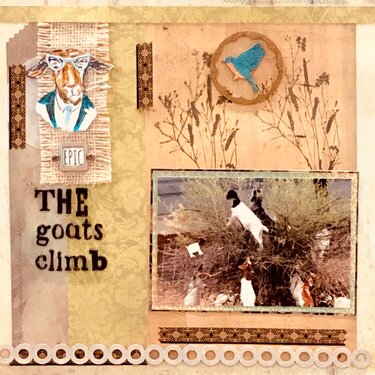The Goats Climb
