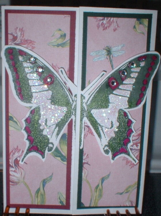 Butterfly Tri-Fold Card