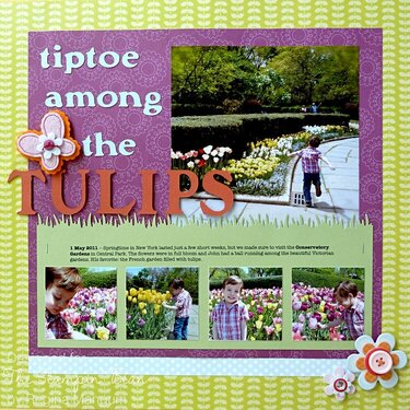 Tiptoe Among the Tulips Layout