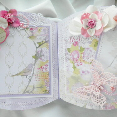 Shabby Chic Butterfly Lace Pages