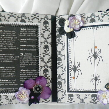 Shabby Chic Bat-Butterfly Pages Halloween
