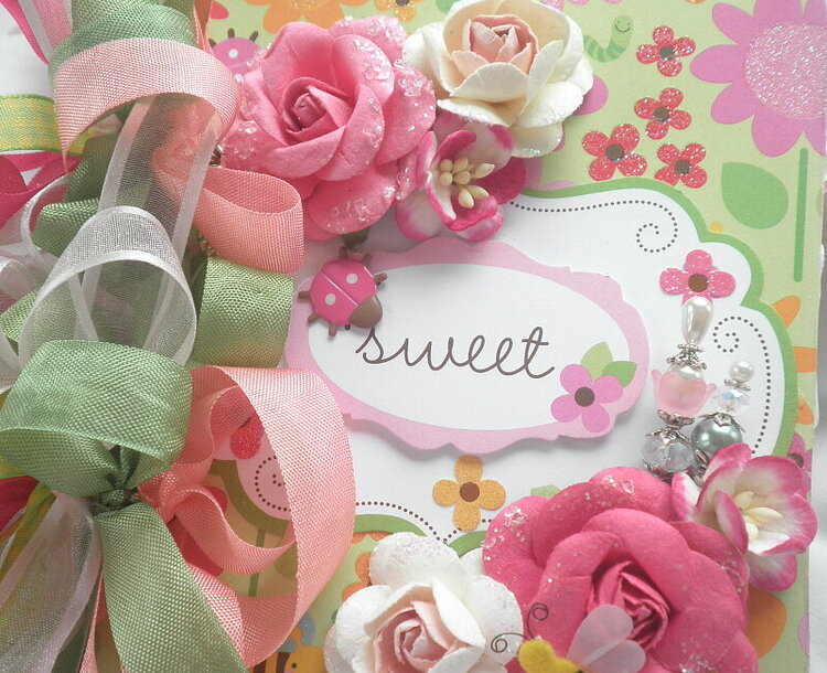 Sweet Lil Ladybug Rose Garden