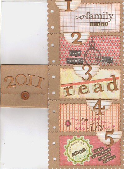 CG2011 -  2011 mini book goals