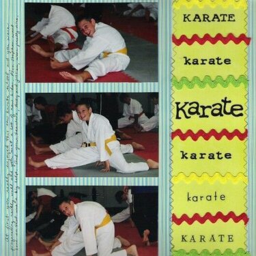 BOS challenge ~ karate