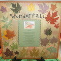 Wonderfall