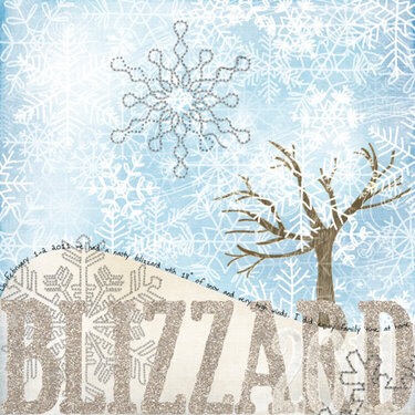 Blizzard 2011