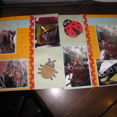 Honey I shrunk the Kids !