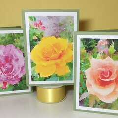 Rose Photo Cards