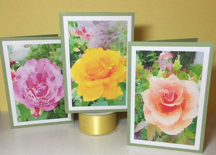 Rose Photo Cards