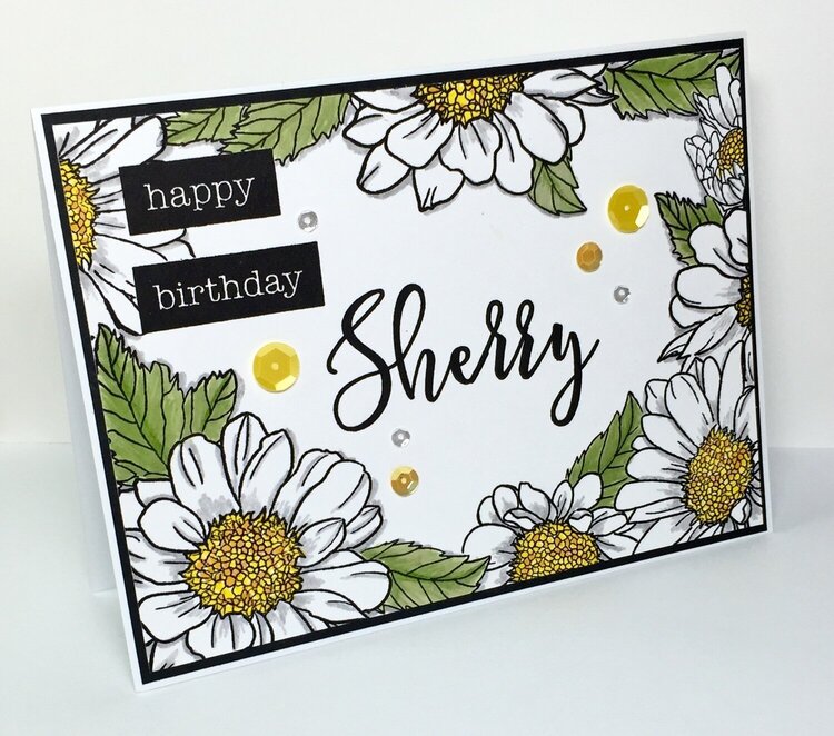 Spring Daisy Birthday card