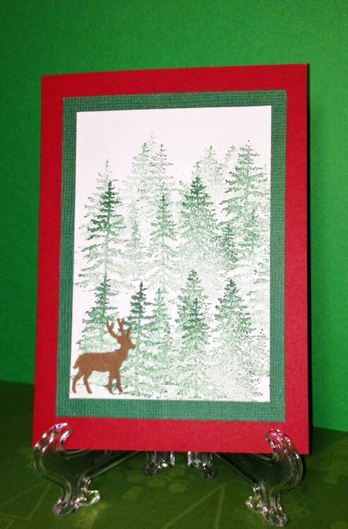 Deer in snowy trees card
