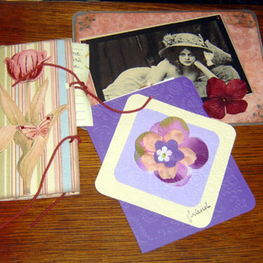 (3) delightful cards from (3) delightful friends