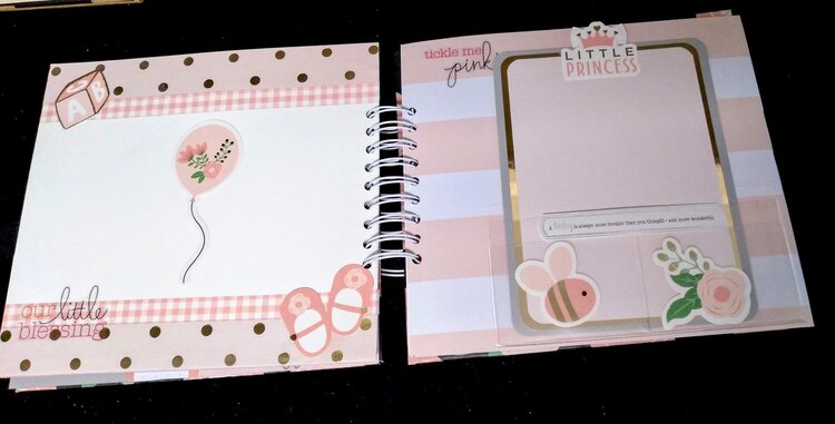 Inside Baby Photo Journal Album