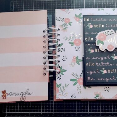 One more photo of inside Baby Photo Journal