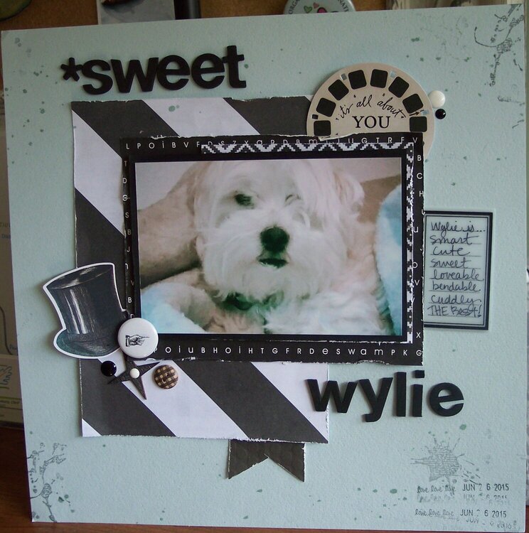 Sweet Wylie
