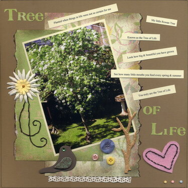 Tree of Life.