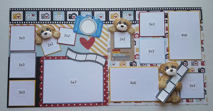 Snapshot tear bear Layout