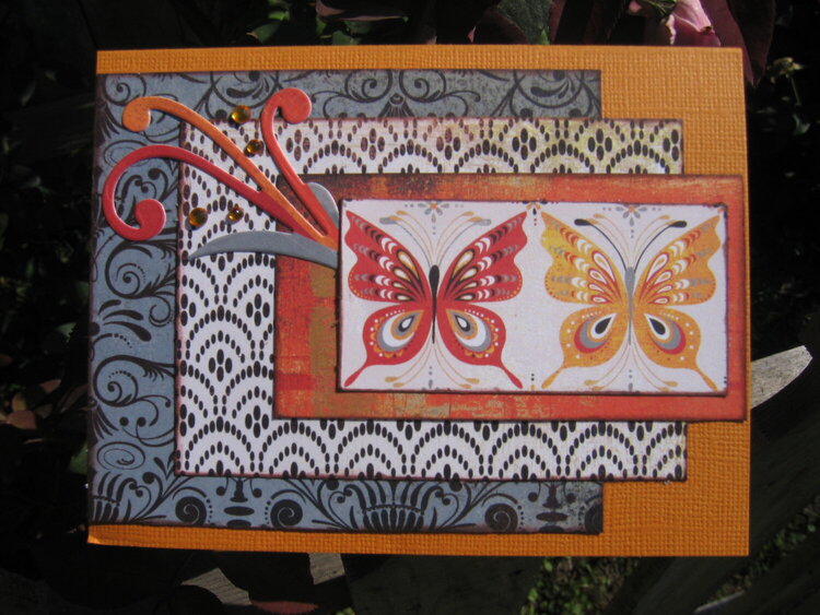 Butterfly Card