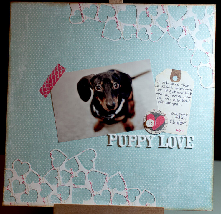 Puppy Love, NSD 2013 Challenge