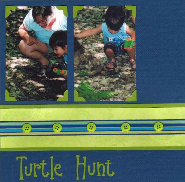Turtle Hunt