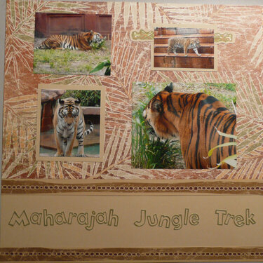 Maharaja Jungle Trek Left