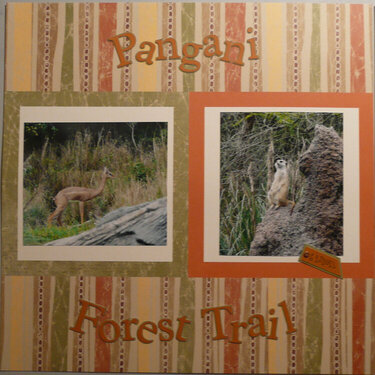 Pangani Forest Trail