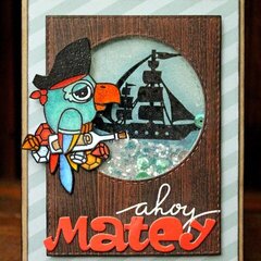 Ahoy Matey Skaker Card!!