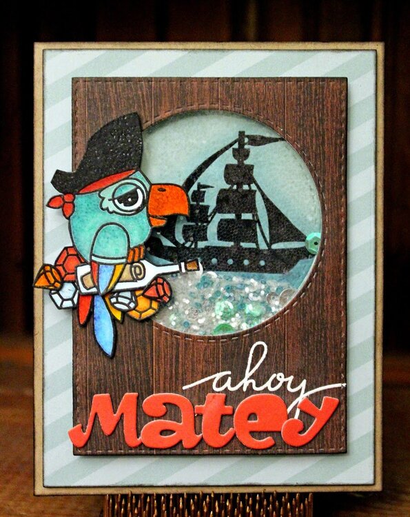 Ahoy Matey Skaker Card!!