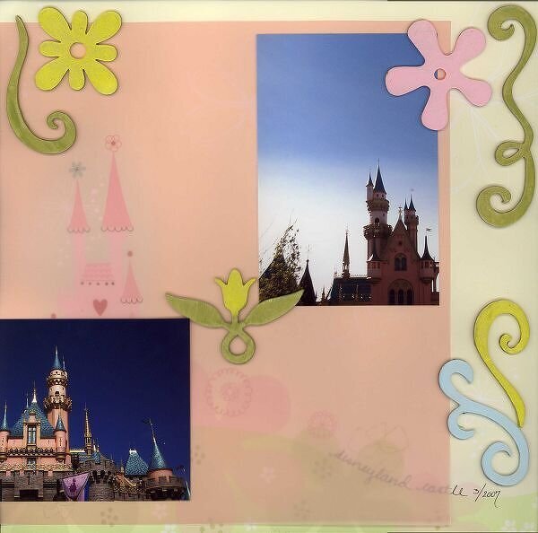 The Castle: Disneyland