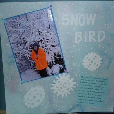 Snow Bird