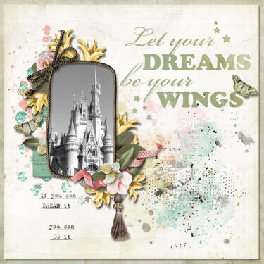 Let your dreams be your wings 