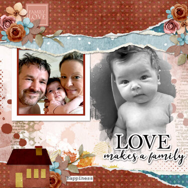 Love makes a family 