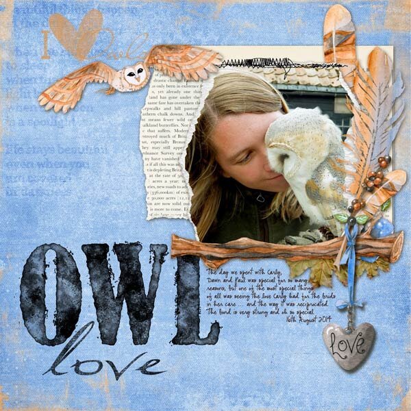 Owl Love