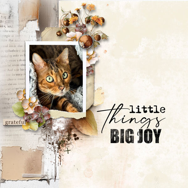 Gratitude 