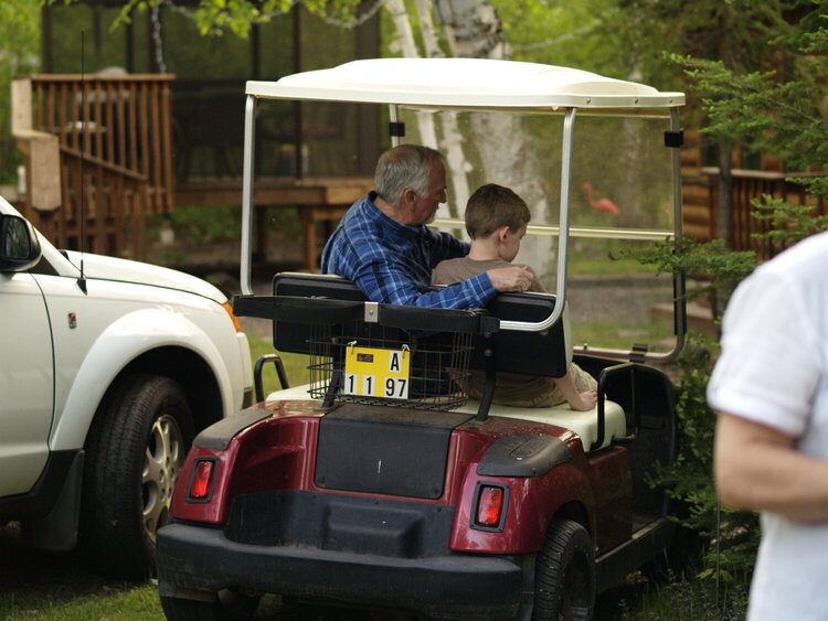 Cart instructor
