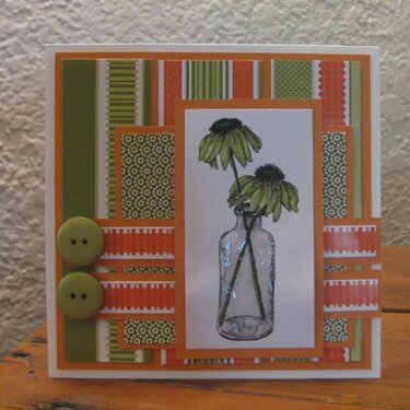 Green Envy Coneflower Card