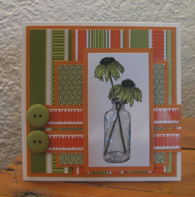 Green Envy Coneflower Card